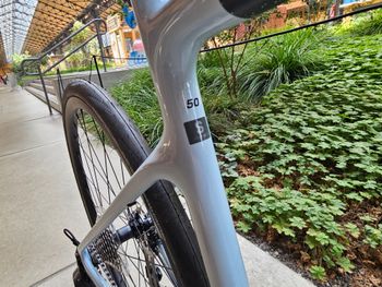 Scott Addict 50 2025 2025 Road & Gravel usato, Bianco — immagine 3 di 4