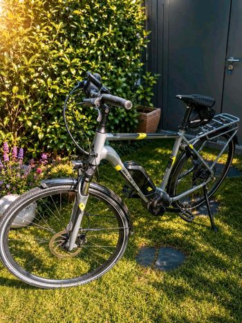 Bulls Street CX500 2019 Urban & Touring d'occasion