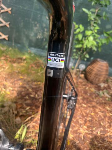 Gebrauchtes Giant Defy Advanced 1 2024 2024 Road & Gravel, Schwarz — Bild 3 von 3