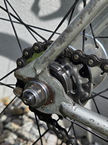 Used Diamant Custom Other 1980 Road & Gravel, Light Gray — image 8 of 21
