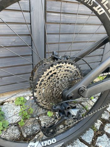 Canyon Neuron CF 8 2024 2024 Mountainbike d'occasion — image 3 sur 9