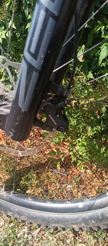 Gebrauchtes Giant Trance X E+ 2 2022 2022 Mountainbike, Blau, 29 — Bild 8 von 13