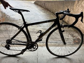 Tweedehands Giant Tcr Campagnolo Record 2001 Road & Gravel