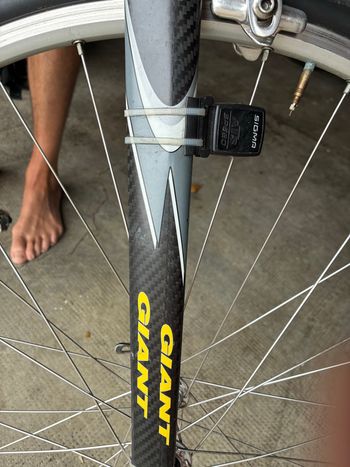 Używany Giant Tcr Campagnolo Record 2001 Road & Gravel — zdjęcie 14 z 35