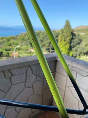Brugt ATALA Custom Frameset 1990 Road & Gravel — billede 21 af 22