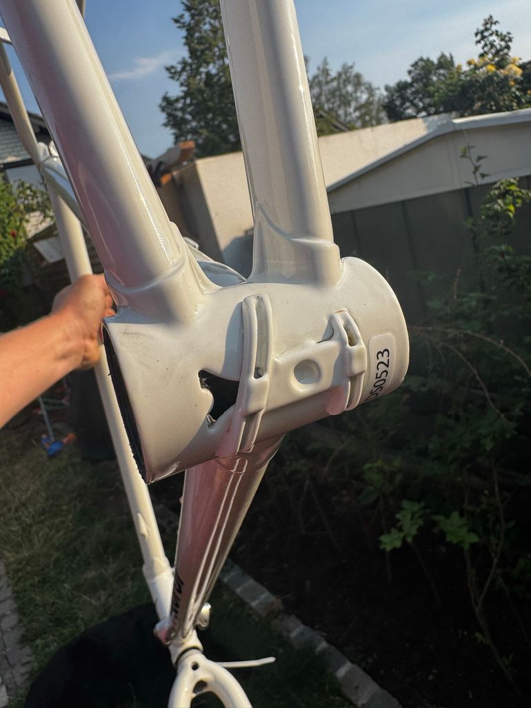 Używany Daccordi Custom Frameset 2024 Road & Gravel — zdjęcie 4 z 12