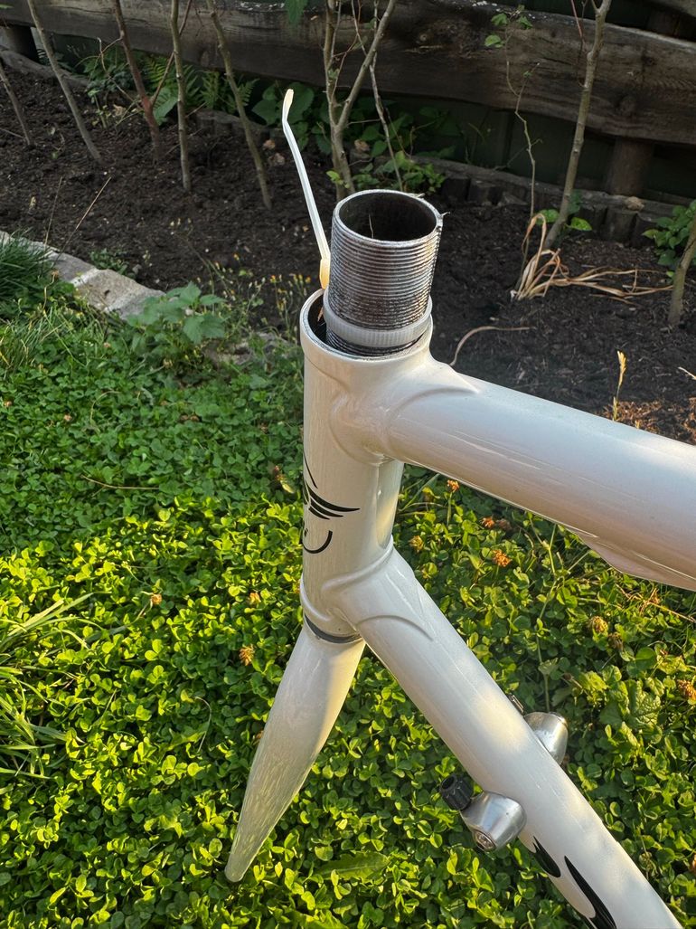 Używany Daccordi Custom Frameset 2024 Road & Gravel — zdjęcie 8 z 12