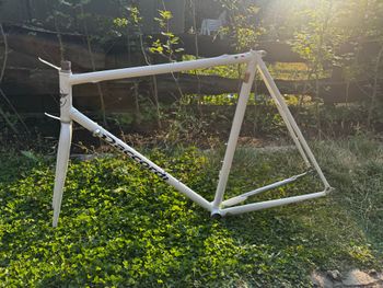 Używany Daccordi Custom Frameset 2024 Road & Gravel — zdjęcie 2 z 12