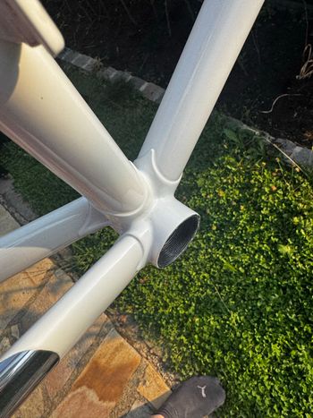 Używany Daccordi Custom Frameset 2024 Road & Gravel — zdjęcie 3 z 12