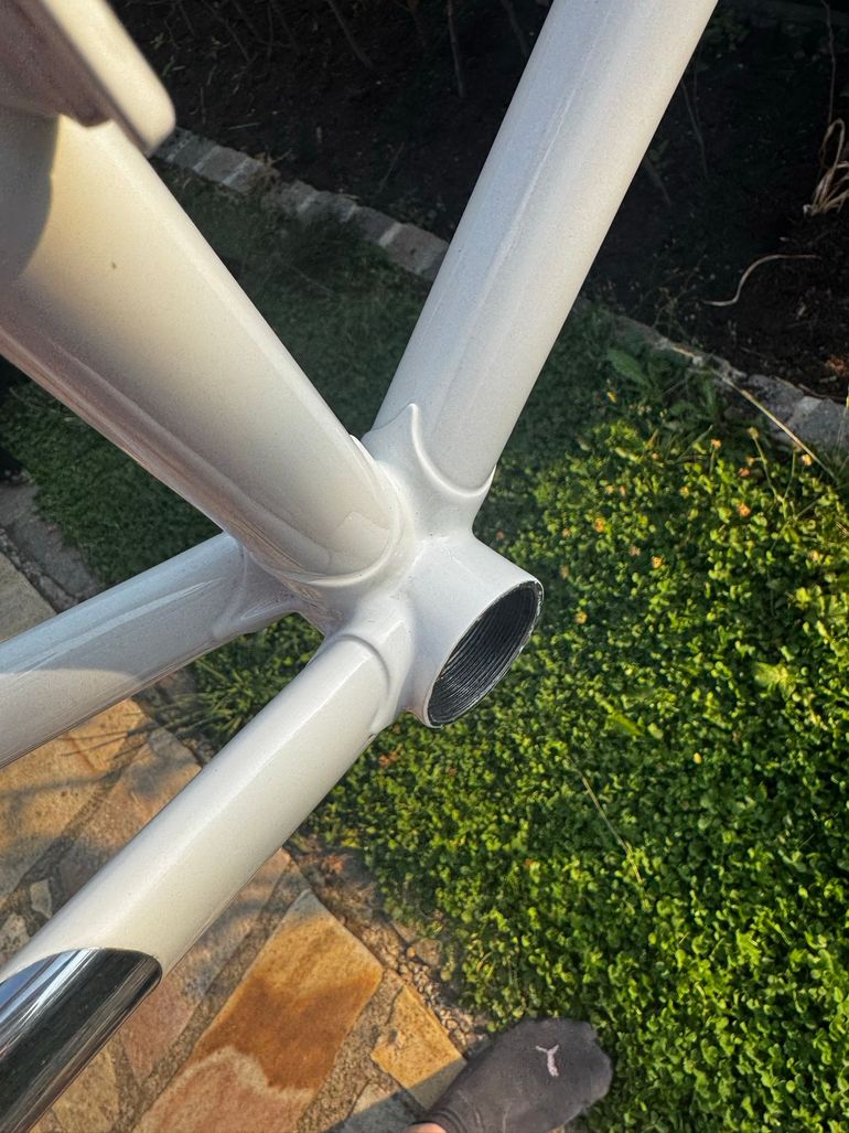 Używany Daccordi Custom Frameset 2024 Road & Gravel — zdjęcie 3 z 12