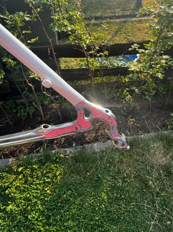 Używany Daccordi Custom Frameset 2024 Road & Gravel — zdjęcie 5 z 12