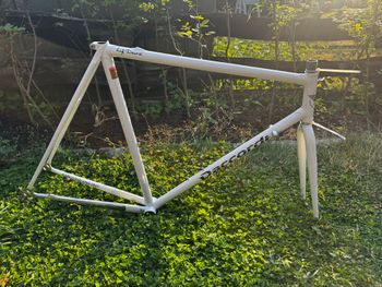 Używany Daccordi Custom Frameset 2024 Road & Gravel