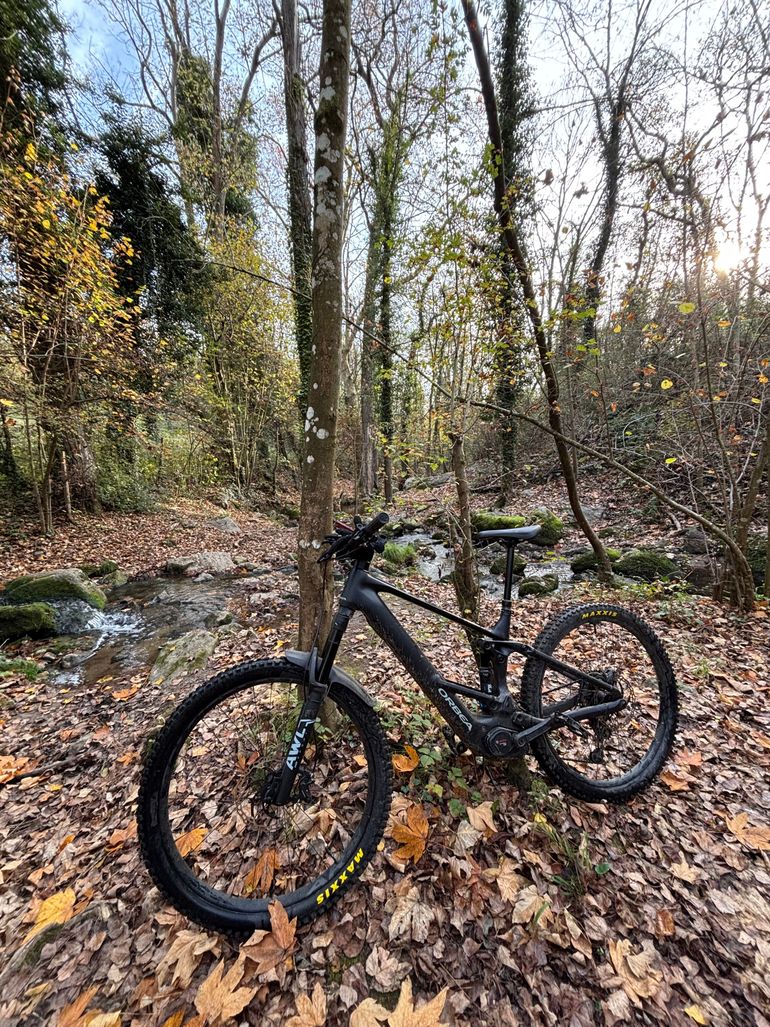 Brugt Orbea Wild ST H20 2026 2026 Mountainbike — billede 2 af 3