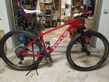 Käytetty Focus RAVEN 8.8 2020 2020 MTB