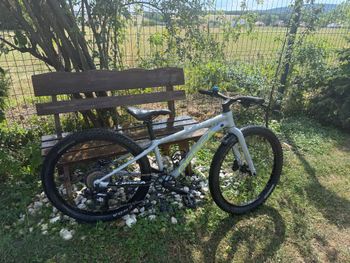 Used Orbea MX 24 TEAM DISC 2024 2024 Kids & Youth