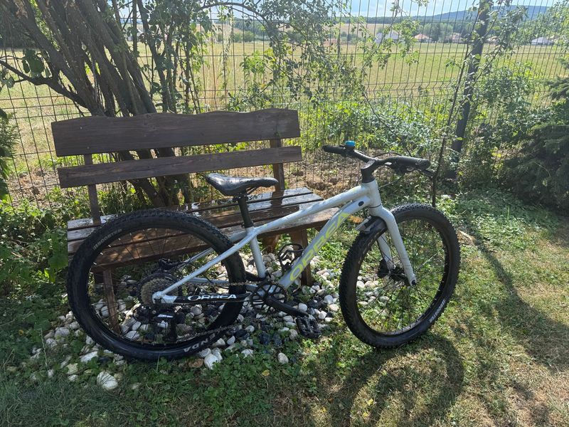 Used Orbea MX 24 TEAM DISC 2024 2024 Kids & Youth