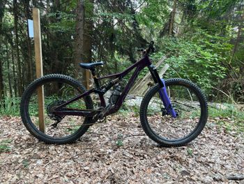 Used Orbea RALLON M10 2022 Frameset 2022 MTB