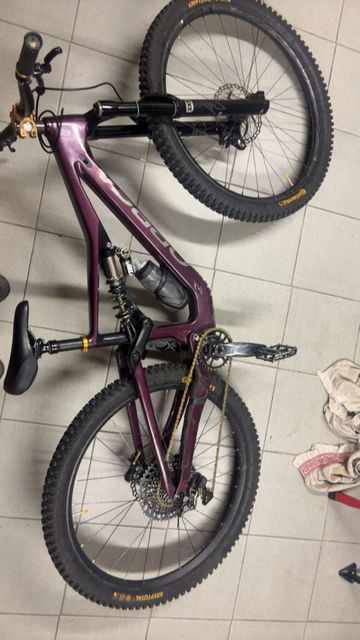 Used Orbea RALLON M10 2022 Frameset 2022 Mountainbike, Purple, 29 — image 2 of 3