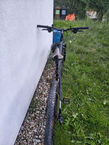 Used Cannondale Trail 8 2023 2023 Mountainbike, Black, 29 — image 3 of 4
