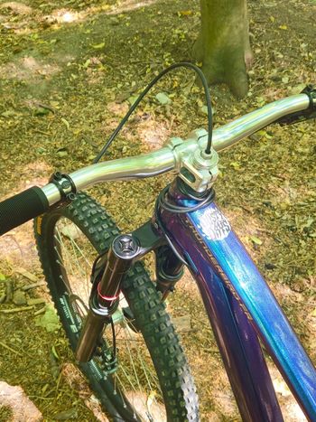 Używany Dartmoor THUNDERBIRD FR PRO SINGLESPEED 2026 2026 Mountainbike — zdjęcie 9 z 10