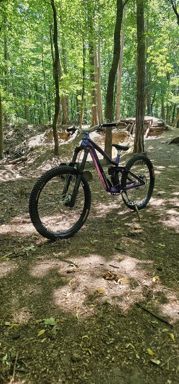 Dartmoor THUNDERBIRD FR PRO SINGLESPEED 2026 2026 Mountainbike de segunda mano, Azul — imagen 10 de 10