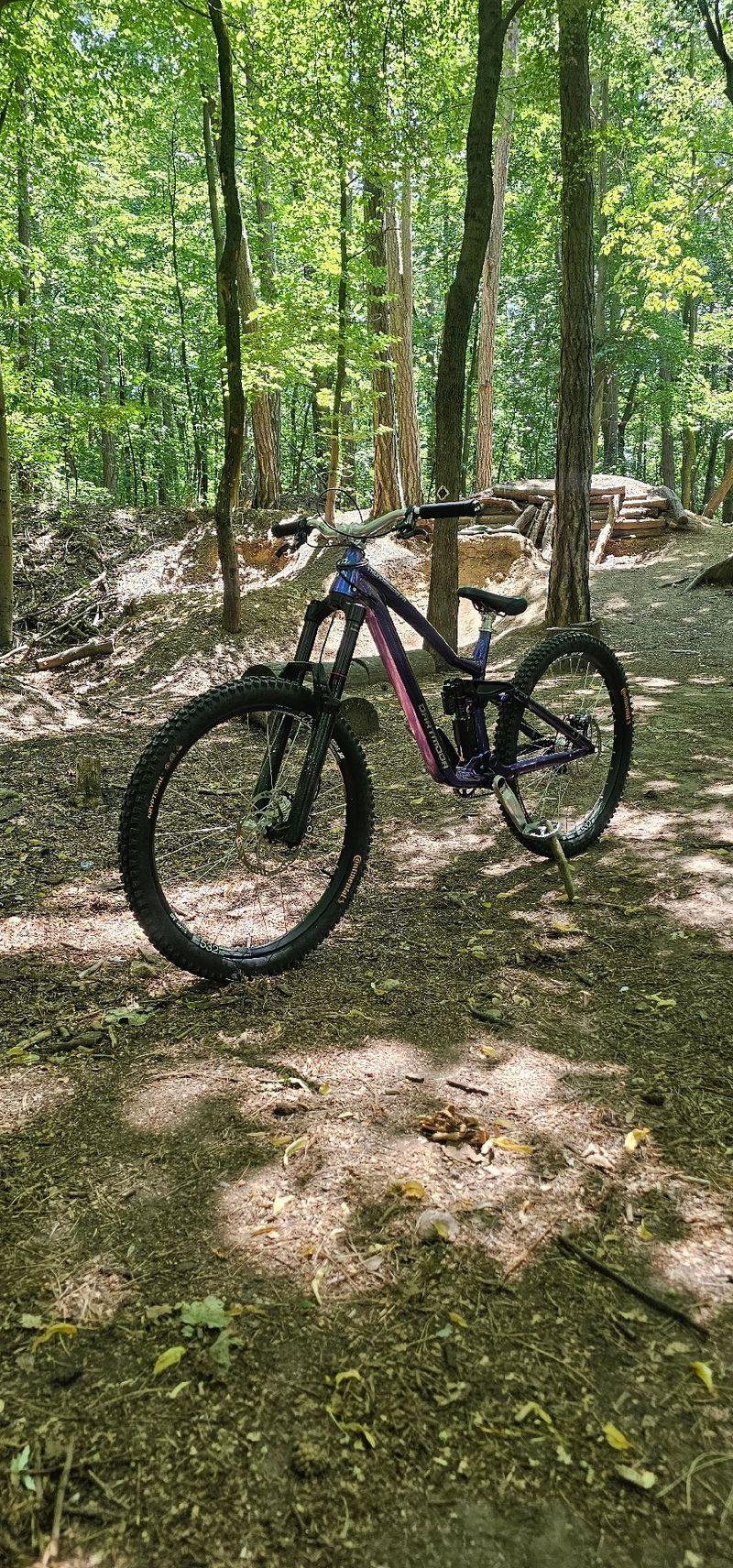 Dartmoor THUNDERBIRD FR PRO SINGLESPEED 2026 2026 Mountainbike de segunda mano, Azul — imagen 10 de 10
