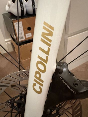 Used Specialized Tarmac Frameset 2024 Road & Gravel, White — image 4 of 8