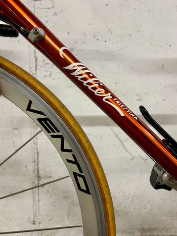 Wilier Triestina Other Campagnolo 1990 Road & Gravel d'occasion — image 3 sur 12