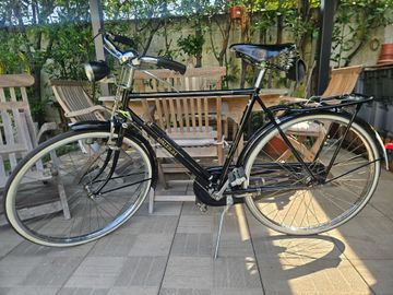 Raleigh Royal Roadster Custom Urban & Touring d'occasion