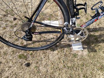 Gebrauchtes Trigon Custom Campagnolo Chorus 2010 Road & Gravel, Schwarz — Bild 3 von 3