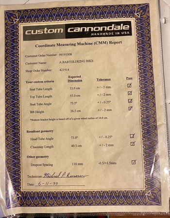 Cannondale Custom Campagnolo Record 1999 Road & Gravel d'occasion — image 6 sur 7