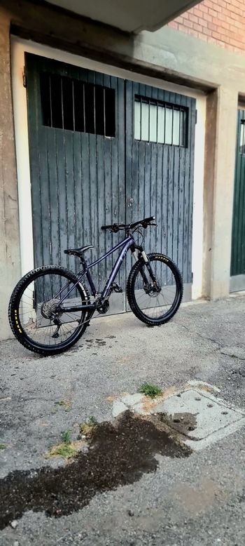 Brugt Liv Tempt 0 2022 2022 MTB