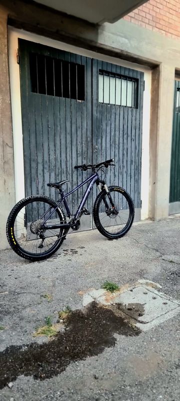 Brugt Liv Tempt 0 2022 2022 MTB