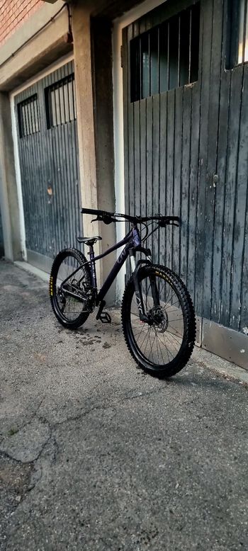 Brugt Liv Tempt 0 2022 2022 Mountainbike — billede 4 af 5