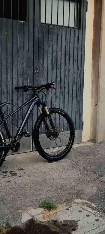 Brugt Liv Tempt 0 2022 2022 Mountainbike — billede 5 af 5