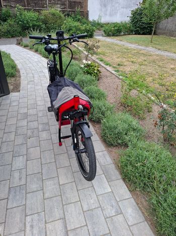 Used Riese & Müller Packster 2018 Urban, Red — image 3 of 4