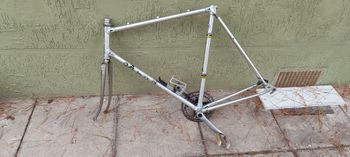 Used Alan Custom Frameset 1980 Road & Gravel, Light Gray — image 2 of 6