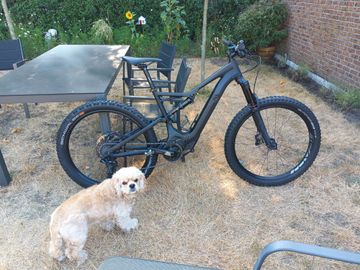 Used Specialized Turbo Levo 2018 Mountainbike, Black — image 13 of 24