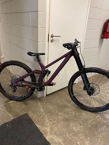 Used Rose Scrub DC 2 2024 2024 MTB