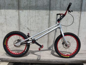 Used Echo Custom Single Speed / Fixed Gear 2015 MTB