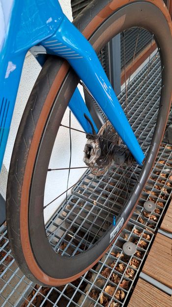 BMC Roadmachine 01 ONE 2024 2024 Road & Gravel d'occasion — image 10 sur 17