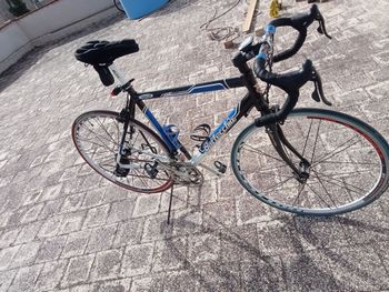 Bottecchia Slp3 2010 2010 Road & Gravel d'occasion — image 11 sur 13