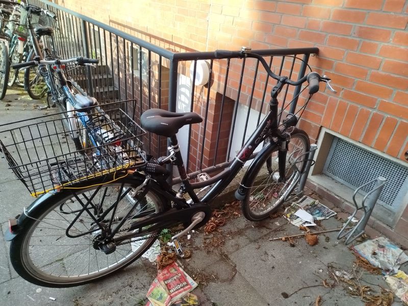 Tweedehands Curtis Custom Urban & Touring