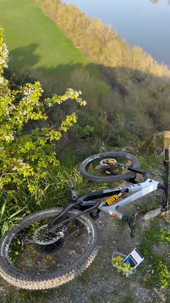 Brugt Canyon Torque CF CLLCTV FW 2022 2022 Mountainbike — billede 8 af 8