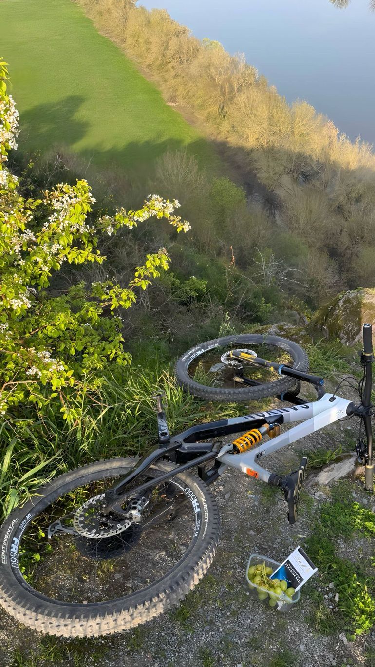 Brugt Canyon Torque CF CLLCTV FW 2022 2022 Mountainbike — billede 8 af 8