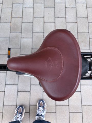 Used Pegasus Custom Urban, Black — image 3 of 9