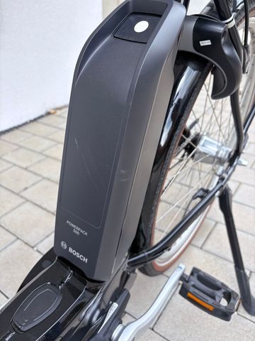 Used Pegasus Custom Urban, Black — image 7 of 9