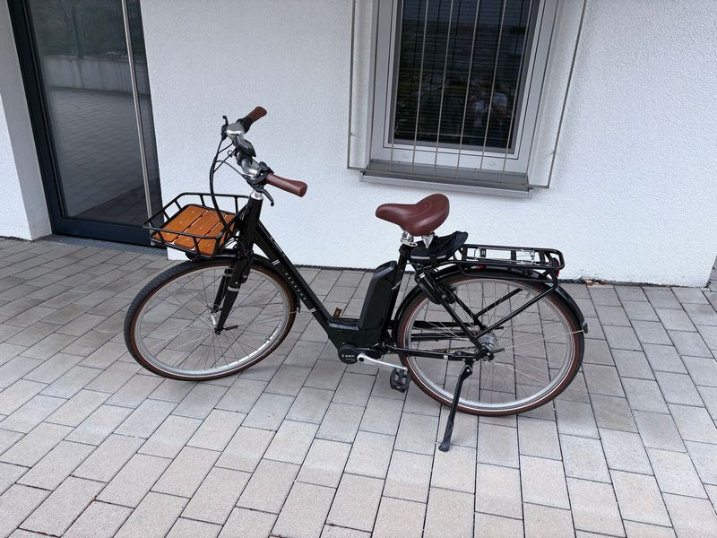 Used Pegasus Custom Urban, Black — image 1 of 9
