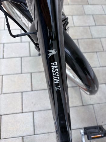 Used Pegasus Custom Urban, Black — image 8 of 9