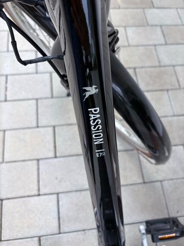 Used Pegasus Custom Urban, Black — image 8 of 9